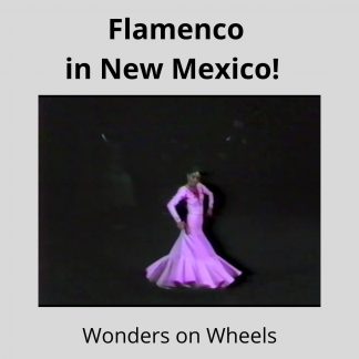 a flamenco dancer wearing a purple long-sleeved dress turns clockwise, holding her arms out to the side.