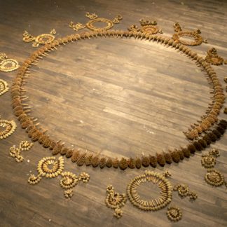 Large circle of golden objects that appear to be from plants on wood floor. Surrounded by small ornate circles made of many tiny objects forming them.