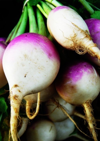 White and purple turnips or radishes.