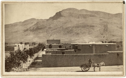 Historic photo of Fort Selden with carriage and horse in front
